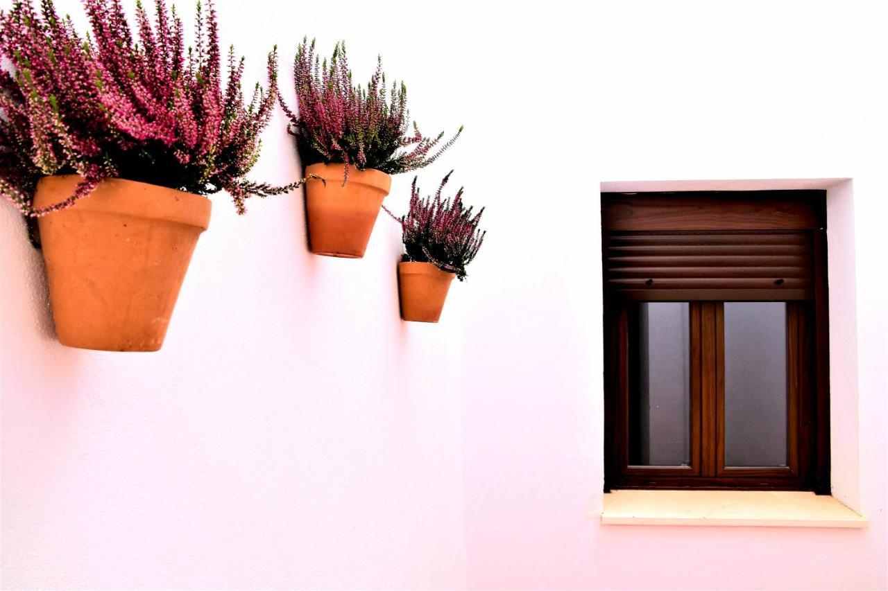 Apartamentos Turisticos Mamelon Jerez de la Frontera Eksteriør billede